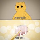 찡어야 이미지