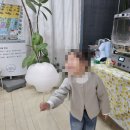 팜앤팜 | 🍊용인 귤따기체험 팜앤트리 후기｜서울근교 아이와 가볼만한곳