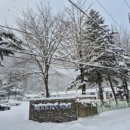 모던스테이 이미지