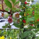 여울목별장 이미지