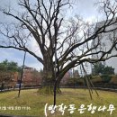 방화천 Daum카페