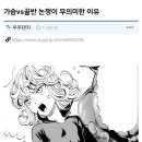 가슴 vs 골반 논쟁이 무의미한 이유. 이미지