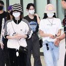 라이브발광 이미지