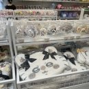 마니전자 | 국제전자센터 국전 가챠 9월 2주차 3주차 후기