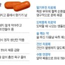 미래약품 이미지