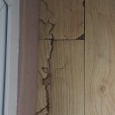 동백8로2 이미지