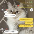 제주 키움 동물병원 네이버블로그