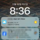 일주일 동안 1번 외출한 재택근무하는 직장인의 12월 1주 일상 일기