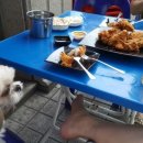 오늘도콩닭콩닭 이미지