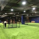 와니엘배팅센터대구경산점 이미지