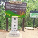 수원 칠보산(239m) 기아화성산악회 운영진 워크샾 2017-5-9 이미지