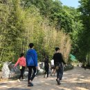 청석골 Daum카페