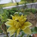정원문구 - 서대문구 연희로37안길 36 | 정원문구