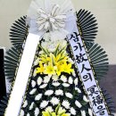 진해세광병원