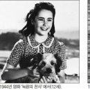 세기테일러 이미지