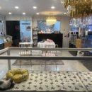 예쁘댕냥 이미지