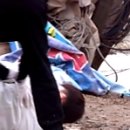 끼리끼리 이미지