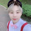 병아리날다 이미지