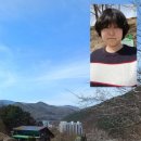 초록벌