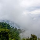 신촌곰탕 이미지