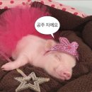 (주)데일리짐 이미지