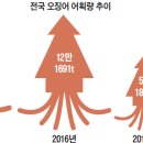 징어야징어야 이미지