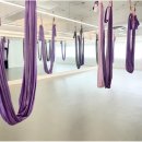 에스솔루션 | 김해 필라테스 고민 끝 더에스아카데미 선택 후기