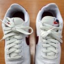 롯데명품세탁 이미지