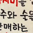스시쿄다이 이미지