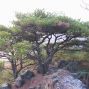 (주)신도무거골프클럽 | 팔공(위천북)기맥 제5구간 한티재에서 오로고개까지 산행후기