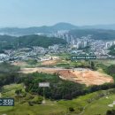 은화삼 이미지