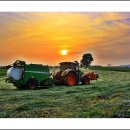 태양목장 이미지