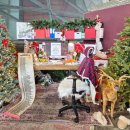 빌리지 | [25부산_3] 강아지랑 다녀온 크리스마스 빌리지 후기