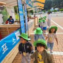 세계유산축전-가야고분군⛰️ 이미지