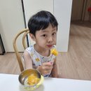 [자폐스펙트럼 이야기] 5세 발달장애 아이 한약 복용 한달 후기