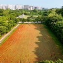 미사경정공원 이미지