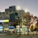 신비로운 지구 | 광주상무지구타로 오렌지 타로 후기