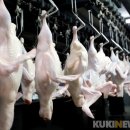 ㈜정다운 이미지