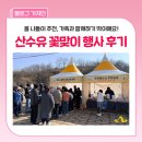 본마을2길 9 | 의성 산수유마을 꽃맞이 행사 후기, 제19회 봄축제 현장 다녀왔어요~