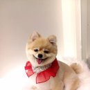 선사숯불닭갈비 이미지