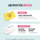 (주)쥬비스다이어트 평촌점 네이버블로그