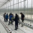 봉화농장 이미지