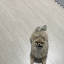 래온동물병원 이미지