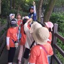 구립새순어린이집 Daum카페