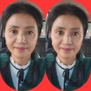 세포 경로당 이미지