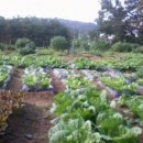 나은농장 이미지