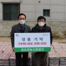 법인진주