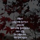 애가