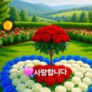머니 머니 해도 이미지