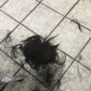 풍림머리방 이미지